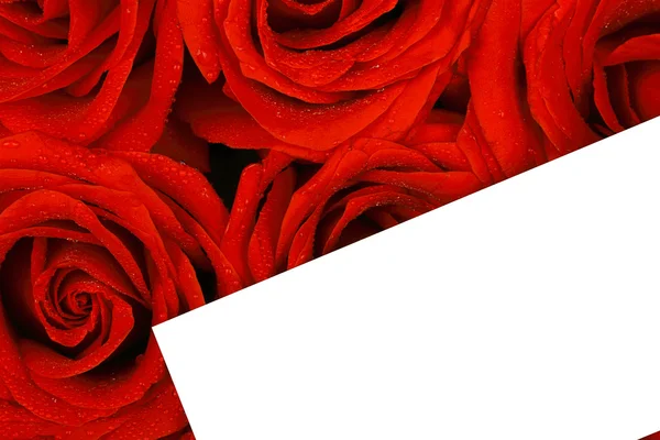 Red roses with a blank gift tag. — Stock Photo, Image