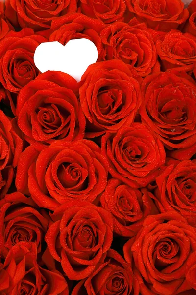 Rose rosse con un tag regalo vuoto . — Foto Stock