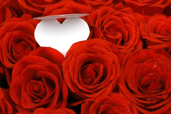 Rose rosse con un tag regalo vuoto . — Foto Stock