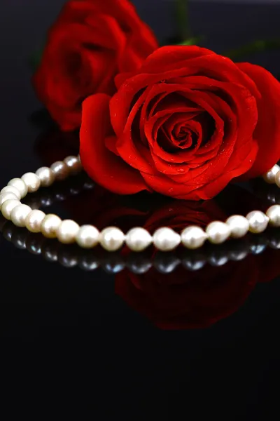 Hermosa rosa roja con collar — Foto de Stock