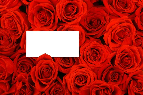 Červené růže s prázdnou dar značky. — Stock fotografie