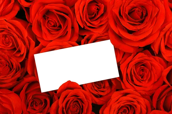 Rose rosse con un tag regalo vuoto . — Foto Stock