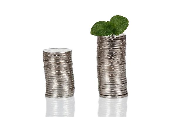 Dinero y planta aislados sobre fondo blanco? Concepto de dinero —  Fotos de Stock