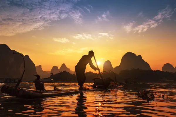 Boat with cormorants birds, traditional fishing in China use tra — Stock Photo, Image