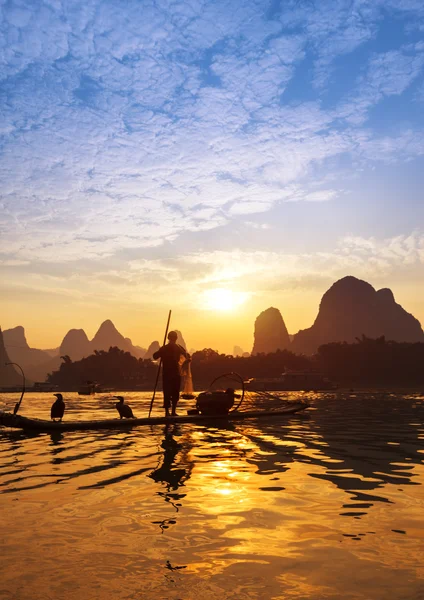 Boot met aalscholvers vogels, traditionele visserij in china gebruik tra — Stockfoto