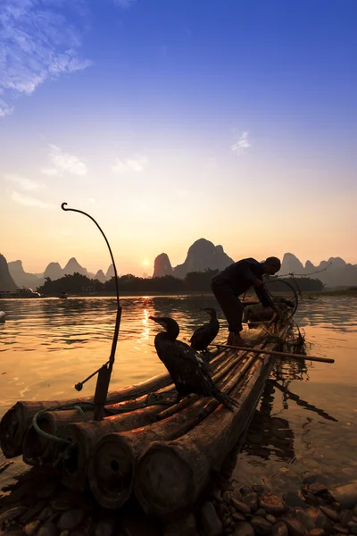 Bateau avec des oiseaux cormorans, la pêche traditionnelle en Chine utilisent tra — Photo