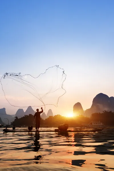 Boot met aalscholvers vogels, traditionele visserij in china gebruiken opgeleide aalscholvers aan vis, yangshuo, china — Stockfoto