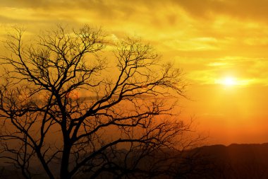 dağlarda günbatımı