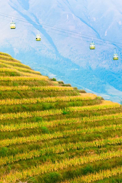 Rijst veld op terras in Bergen. — Stockfoto