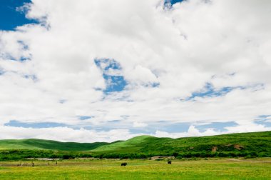 Mavi gökyüzünün arka planında bir alan