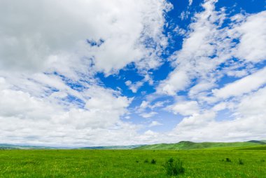 Mavi gökyüzünün arka planında bir alan