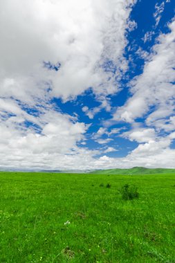 Mavi gökyüzünün arka planında bir alan