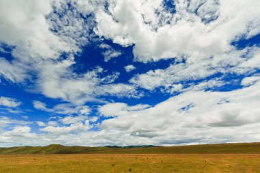 Mavi gökyüzünün arka planında bir alan