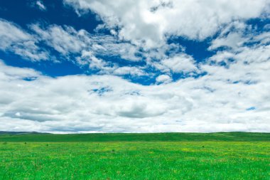 Mavi gökyüzünün arka planında bir alan