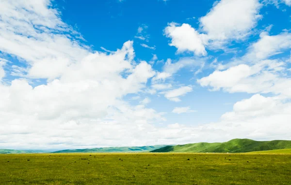 Mavi gökyüzünün arka planında bir alan