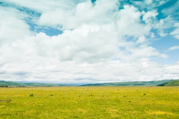 Mavi gökyüzünün arka planında bir alan