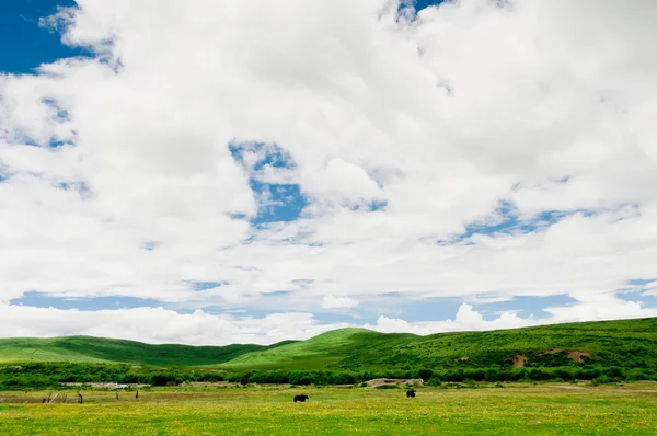 Mavi gökyüzünün arka planında bir alan