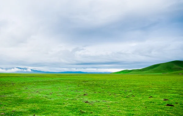 Mavi gökyüzünün arka planında bir alan