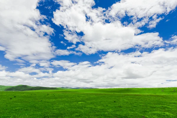 Mavi gökyüzünün arka planında bir alan