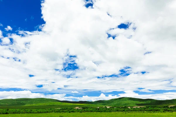 Mavi gökyüzünün arka planında bir alan — Stok fotoğraf