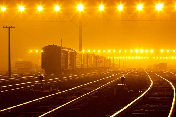 コンテナと日没時の貨物列車のプラットフォーム — ストック写真