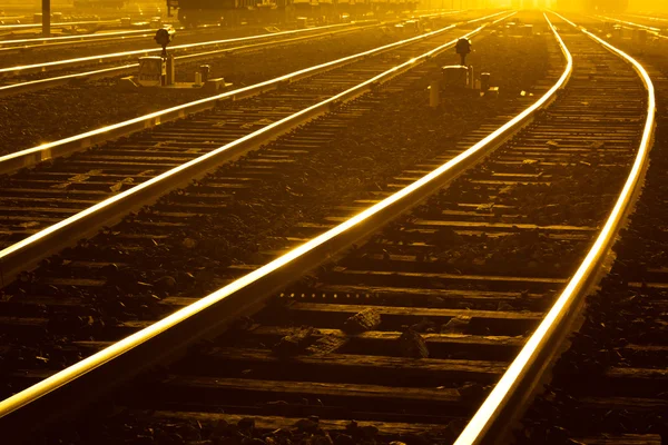 Gün batımında konteynırla birlikte kargo treni platformu — Stok fotoğraf