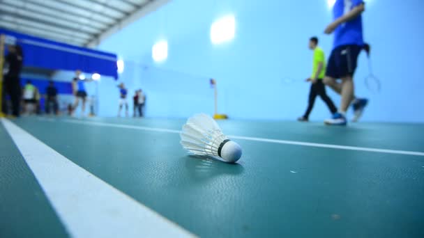 Campi da badminton con giocatori che competono in indoor . — Video Stock