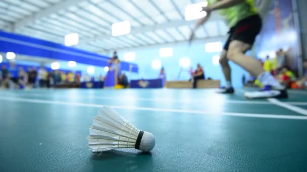 Badmintonové kurty s hráči soutěžit ve vnitřních. — Stock video
