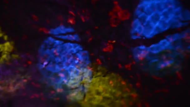 Taş duvara lazer renkli sahne spot ışığı parladı — Stok video
