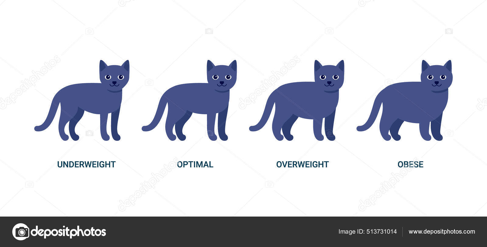 ハッピーダークブルーグレーの猫 立ってペット 家の動物猫 ベクターイラスト ストックベクター C Fagreia