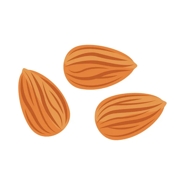 Nut almond. Food. Healthy diet. Vector illustration — Stock Vector