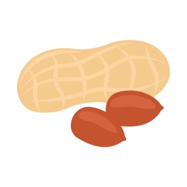 Fıstık kabuklu ve açık fındıklı. Fıstık ezmesi, sağlıklı gıda hasadı. Doğal protein. Vektör