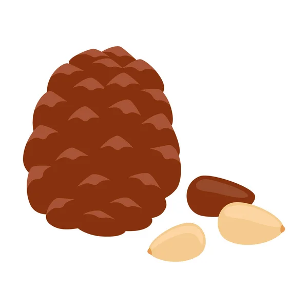 Pine nut, shell and seed. Pine nut food. Healthy diet. Vector illustration — 图库矢量图片