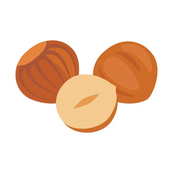 Hazelnut full in shell and open nut. Nut hazel healthy food harvesting. Natural filbert food. Vector illustration — Vettoriale Stock