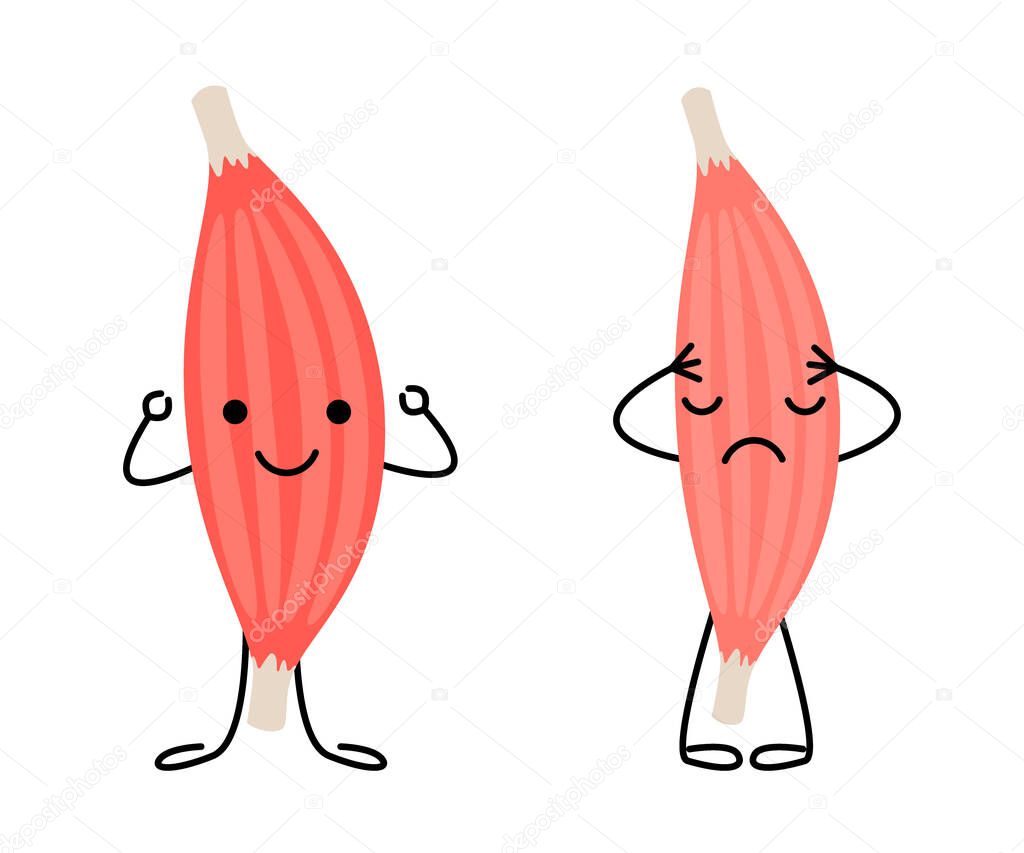 Healthy happy muscle and weak sad pain muscle character. Strong and frail tension fiber part body human. Skeletal muscle, inside tissue. Vector