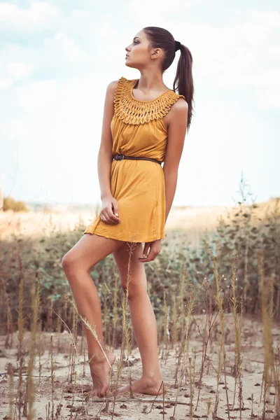 Mooie brunette meisje permanent in een veld — Stockfoto