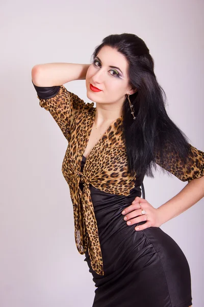 Studio porträtt av en vacker smal brunett tjej i en kort tight svart klänning med leopard bolero — Stockfoto