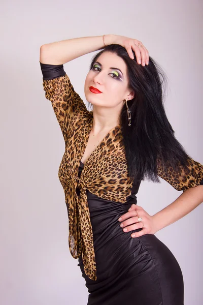 Portret Studio piękna szczupła dziewczyna brunetka w Krótki mocno czarna sukienka z leopard bolero — Zdjęcie stockowe