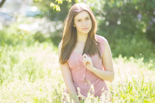 Portrait of a beautiful young woman with brown hair in retro plaid dress. Girl posing in nature with a small bouquet of violets — Stock Photo, Image