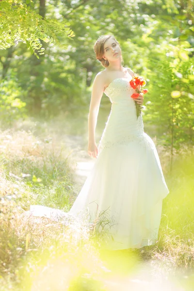 美しい花嫁アウトドア - ソフト フォーカス — ストック写真