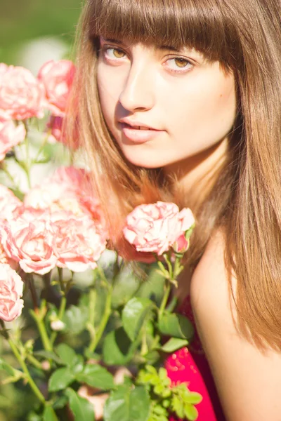 Retrato de uma bela jovem mulher com cabelo castanho em vestido de luz vermelha. Menina no jardim com arbustos de rosa — Fotografia de Stock