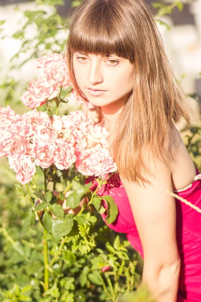 Ritratto di una bella giovane donna dai capelli castani in abito rosso chiaro. Ragazza in giardino con cespugli di rose — Foto Stock