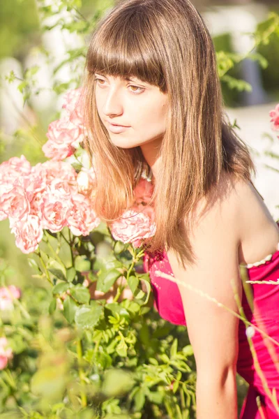 Retrato de uma bela jovem mulher com cabelo castanho em vestido de luz vermelha. Menina no jardim com arbustos de rosa — Fotografia de Stock