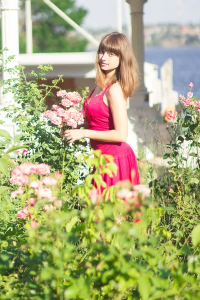 Ritratto di una bella giovane donna dai capelli castani in abito rosso chiaro. Ragazza in giardino con cespugli di rose — Foto Stock