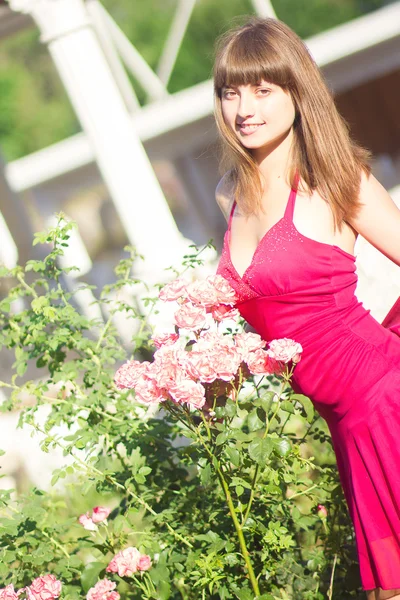 Ritratto di una bella giovane donna dai capelli castani in abito rosso chiaro. Ragazza in giardino con cespugli di rose — Foto Stock