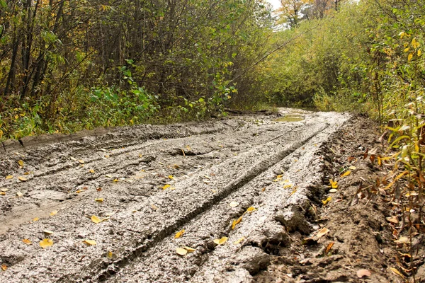 Не дорога, а направление — стоковое фото