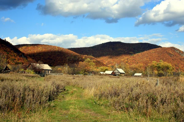 Camino a la aldea — Foto de Stock