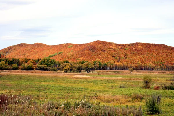 Campo cerca de montañas —  Fotos de Stock