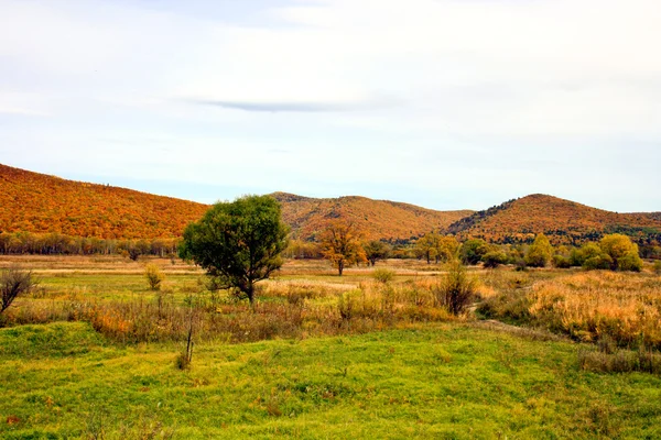 Field near mountains — Stock Photo, Image