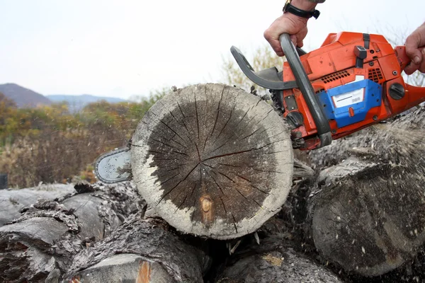 The sharp saw quickly cuts wood — Stock Photo, Image